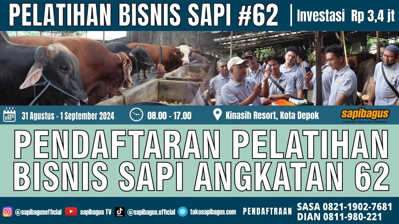 
                                 Pendaftaran-Pelatihan-Bisnis-Sapi-Angkatan-62